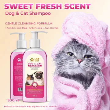 Cat shampoo on sale for hair loss