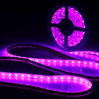 【✱2023 HOT✱】 na07037036036666 0.5/1/2/3/4/5M Ip65หลอดไฟยูวีไฟแถบไฟ Led สีม่วงอ่อน12V Dc 5050 Smd สีดำโคมไฟ Led แถบไฟ395-405nm