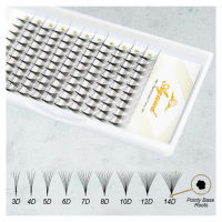 AGUUD Premade Volume Fans LashThin Pointy Base Russian Volume Sharp Stem Premade Eyelash Fans Extension 3D4D5D6D8D10D14D