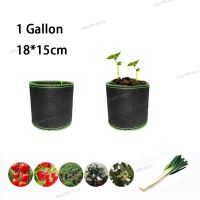 1 Gallon Fruit Plant Grow Bags Vegetables Planter Tree Pots Home Supplies Fabric Planting Garden Tools Growing WB5TH