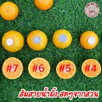 ส้มสายน้ำผึ้ง ของขึ้นชื่อเมืองฝาง ส้ม เบอร์ 6 กล่อง 5 กิโล รสชาติเข้มข้น สดๆจากสวน ส้มเขียวหวาน ส้ม