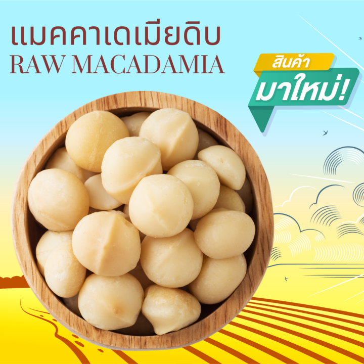 แมคคาเดเมียดิบ เต็มเม็ด ขนาด 1000 กรัม Raw Macadamia 1000 g