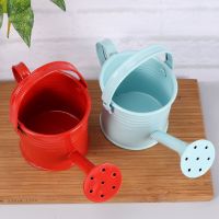 【CC】 2pcs Watering Can Metal Spout Pot for Outdoor and Indoor ( )