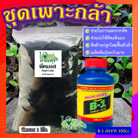 วัสดุเพาะกล้า+ฮอร์โมนเร่งราก ? น้ำรากเร่งรากB-1 + พีชมอส วัสดุปลูกคุณภาพสูง ดินปลูกต้นไม้ เพาะเมล็ดอัตราการงอกสูง ต้นกล้าแข็งแรง?