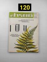 สาคคดี ปีที่ 17 ฉบับที่ 195