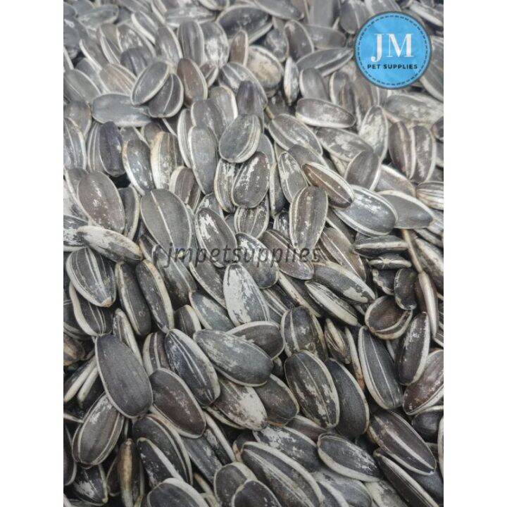 Sunflower Seeds Jumbo 500g and 1 kilo Lazada PH