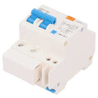 220V 2P63 Circuit Breaker Disconnector Electric Leakage Protection Switch 35mm Din Rail Mount Circuit Disconnector Electrical Circuitry Parts