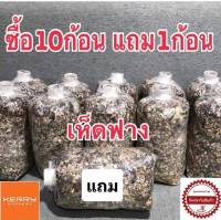 เชื้อเห็ดฟาง10ก้อน(แถมฟรี1ก้อน) ฟรีคู่มือการเพาะ เห็ดออกทันทีภายใน 5วัน