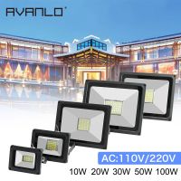 110V/220V 10W 20W 30W 50W 100W LED Flood Light Spotlight Led Search Lamp Floodlights for Outdoor Garden Street Square