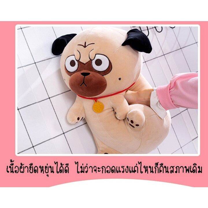 พร้อมส่ง-ตุ๊กตาหน้าบึ้งสุดกวน-ตุ๊กตาแมว-ตุ๊กตาหมา-ตุ๊กตาน่ากอด-ตุ๊กตาตลก