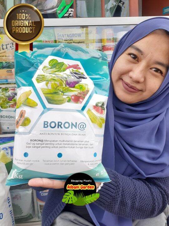 COD Pupuk Boron Plus Mgo Anti Rontok Bunga Dan Buah Borona1 Kg Original ...