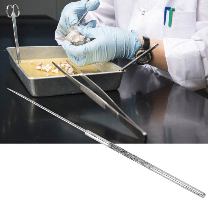 Experiment Equipment Dissection Needle Tool 5Pcs Insect Dissection
