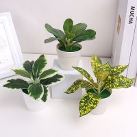 Mini Desktop Small Potted Artificial Aloe Vera Plant Bonsai Plant Fake Flower Desk Potted Decoration Home Garden Decoration