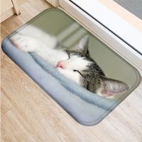 1pcs 40*60cm Cute Cat Pattern Floor Mat Anti-Slip Suede Carpet Doormat indoor Kitchen Bathroom Living Room Door Mat Rug 48237