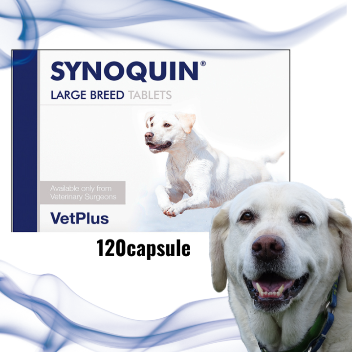 Vetplus SYNOQUIN EFA Large Breed Dog Canine Joint Care per Big Box of