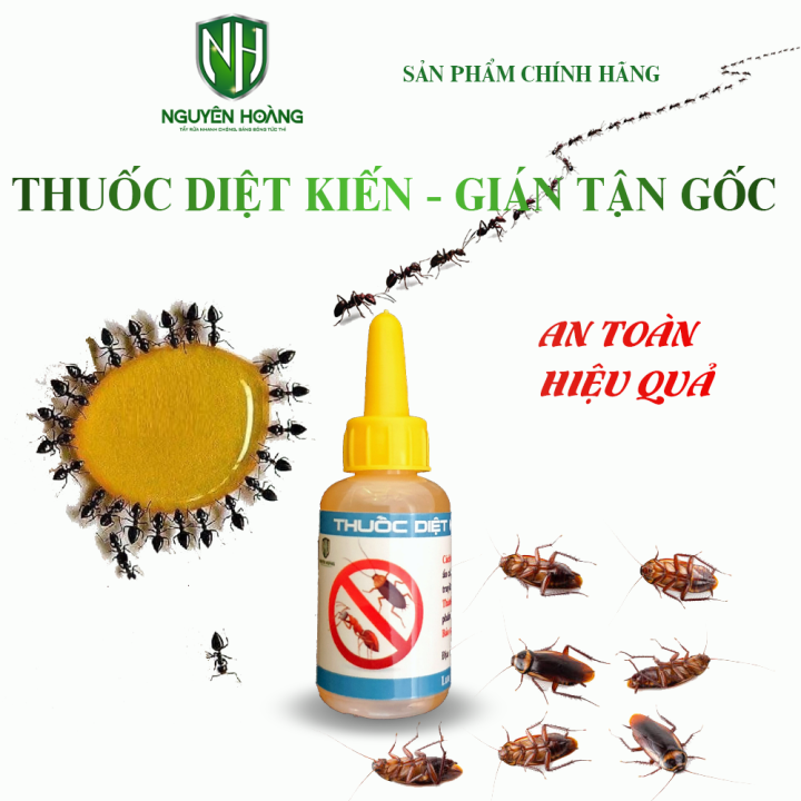 Có những biện pháp khác để diệt kiến hôi ngoài việc sử dụng thuốc?
