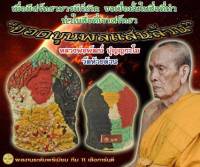 รายการสุ่มลุ้นเนื้อ/พระผงยอดขุนพล/หลวงพ่อพัฒน์ ปุญญกาโม วัดห้วยด้วน นครสวรรค์/ประกันพระแท้ทุกองค์