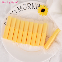 The Big Ups? 10pcs Empty ลิปสติกหลอดพลาสติกลิปบาล์มคอนเทนเนอร์ลิปสติก GLOSS Sub-บรรจุขวด