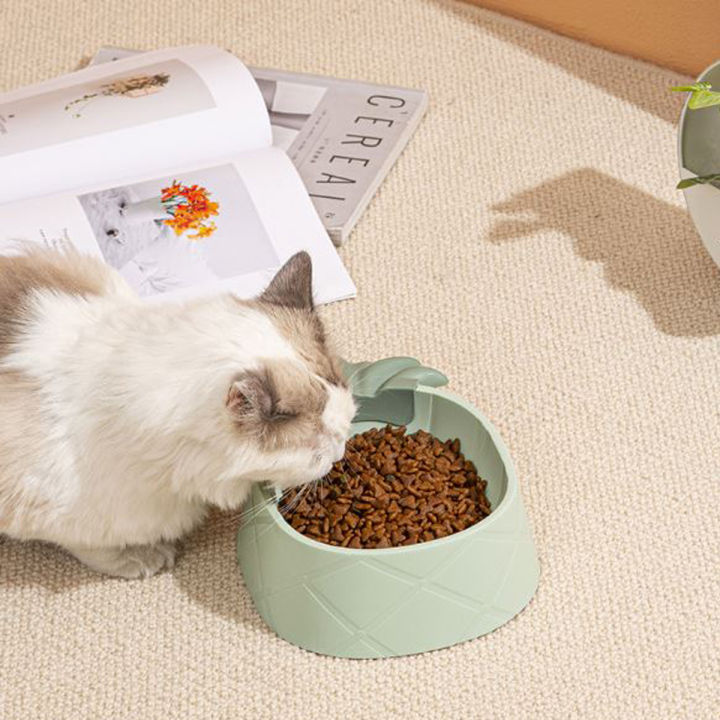 ชามสัปปะรด-ชามหมา-จานแมว-จานสัตว์เลี้ยง-pet-bowl-ที่ให้อาหารสัตว์เลี้ยง