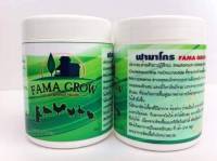 ฟามาโกร สำหรับสัตว์ปีก ป้องกันรักษาโรคระบบทางเดินหายใจ หลอดลม ระบบทางเดินอาหาร อหิวาห์ ท้องร่วง บิด ขี้ขาว ขนาด 60 กรัม