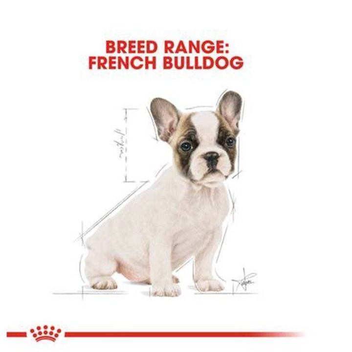 royal-canin-french-bulldog-dog-food-อาหารลูกสุนัข-สำหรับลูกสุนัข-พันธุ์เฟรนช์-บูลด็อก-อายุต่ำกว่า-12-เดือน-10-กก