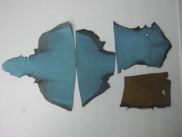 เศษหนังปลากระเบนแท้-stingray-leather-scraps-หลายสี-น้ำหนัก-81-กรัม-sk678