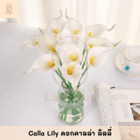 ดอกคาลล่าลิลลี่ Calla lily ประดิษฐ์ คาล่าลิลลี่ประดิษฐ์ คาร์ล่าลิลลี่ ลิลลี่ปลอม คาล่าลิลลี่ปลอม 6 สี ตกแต่งสวน ตกแต่งบ้าน ตกแต่งห้อง