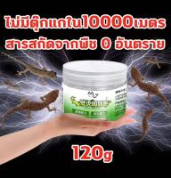 ⚡ตุ๊กแกได้กลิ่นและวิ่ง⚡ยากำจัดจิ้งจก ยาฆ่าจิ้งจก 120g 0ยากันดาเมจ มีให้เลือกทั้งในร่มและกลางแจ้ง ไล่จิ้งจก ไล่ตุ๊กแก กำจัดจิ้งจก ยาเบื่อจิ้งจก ยาไล่จิ้งจก สเปรย์ไล่จิ้งจก ไล่จิ้งจกถาวร น้ำยาไล่จิ้งจก anti lizard