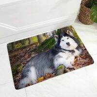 Funny Siberian Husky Dog Flannel Carpet Floor Mat for Hallway Bedroom 40x60cm Rug Door Mat Non-Slip Decor Pet Dog Animal Doormat