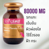 Spring Leaf Sheep Placenta รกแกะนางงามออสเตรเลีย แท้การันตี 100%