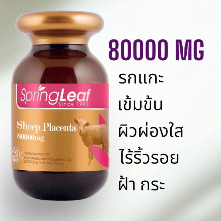 spring-leaf-sheep-placenta-รกแกะนางงามออสเตรเลีย-แท้การันตี-100