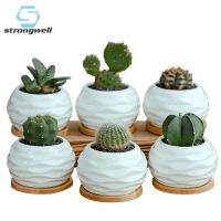 Strongwell Decoration Artware Creative Nordic Mini Flower Pot Modern Wave Pattern White Porcelain Flowerpots Decoration Bonsai
