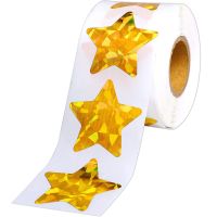 500 Pcs Per Roll Reward Foil Labels For Home Adhesive Bar Gold Star Stickers Large Holographic