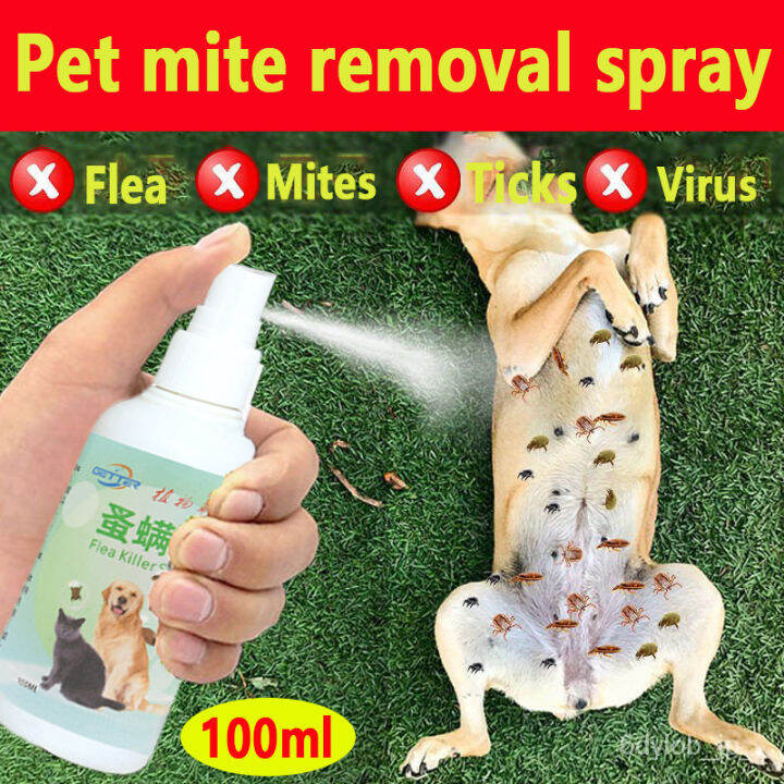 【Safety】Pet flea spray Tick and flea killer for dogs 100ml Pet spray