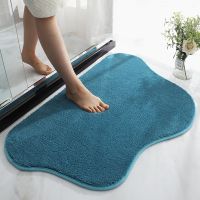 QSR STORE High-hair Bathroom Toilet Door Absorbent Floor Mat Carpet Bedroom Non-slip Foot Pad Bath Rug Kitchen