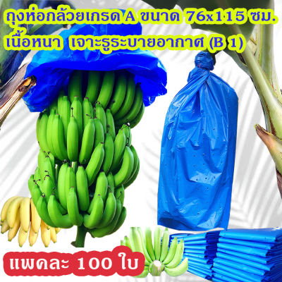 แพคละ 100 ใบ ถุงห่อกล้วย ถุงห่อกล้วยหอม ถุงคลุมกล้วย ถุงห่อกล้วยพลาสติกฟ้า ขนาด 76x115 ซม. เกรด A เนื้อหนา ใช้ซ้ำได้ 700 บาท