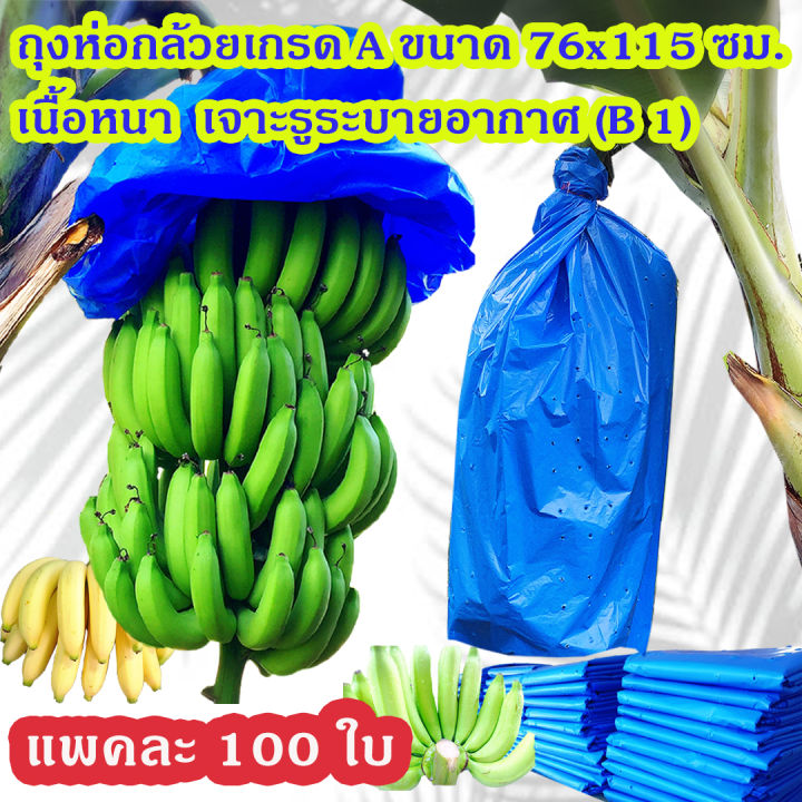 แพคละ-100-ใบ-ถุงห่อกล้วย-ถุงห่อกล้วยหอม-ถุงคลุมกล้วย-ถุงห่อกล้วยพลาสติกฟ้า-ขนาด-76x115-ซม-เกรด-a-เนื้อหนา-ใช้ซ้ำได้-700-บาท