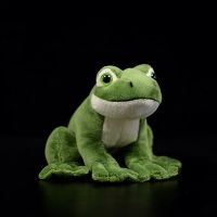 11Cm High Soft Real Life Frogs Plush Toys Realistic Small Green Frog Stuffed Farm Animals Toy Gifts For Kids