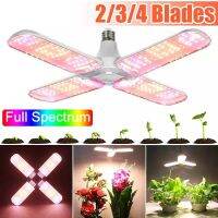 220V Full Spectrum LED Grow Light 48W E27 4แชก ฟปลุกต้นไม้ ไฟช่วยต้นไม้โตเร็ว แสงขาว แสงธรรมชาติ