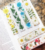 Bookmark Of Reading Partner Creative Glue Dripping Real Flower Ornaments Artificial flowers Transparent Tassel Fresh Stationery Bookmark Creative Daisy Bookmark