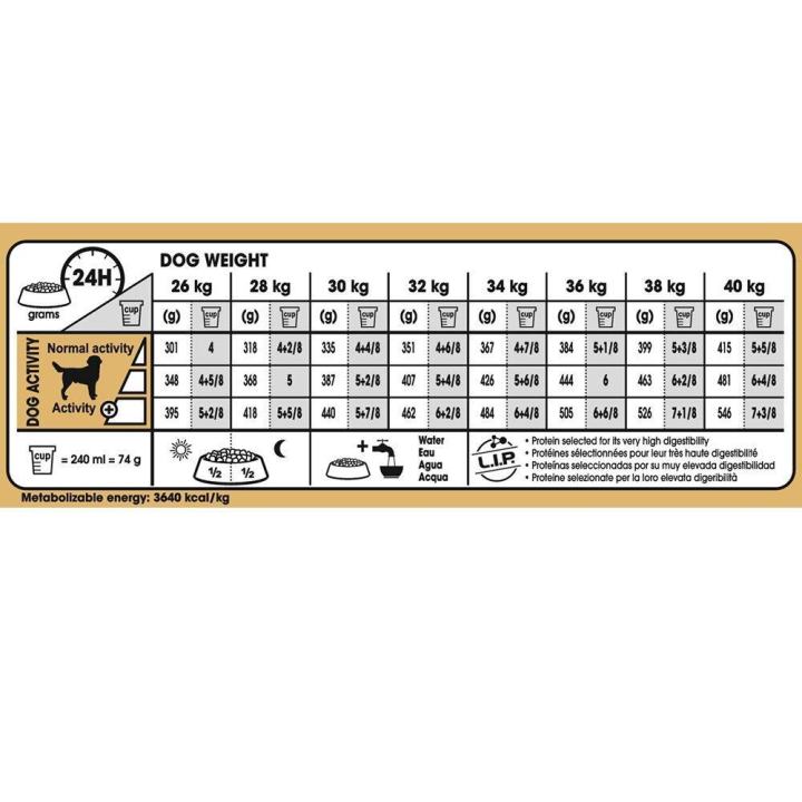 royal-canin-labrador-retriever-adult-dog-food-อาหารสุนัข-สำหรับสุนัขโต-พันธุ์ลาบราดอร์-รีทรีฟเวอร์-อายุ-15-เดือนขึ้นไป-12-กก