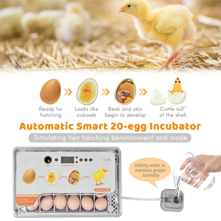 ศูนย์บ่มเพาะไข่ดิจิตอล20ไข่ฟักไข่สัตว์ปีกที่มีอัตโนมัติไข่เปลี่ยนการควบคุมอุณหภูมิไฟ-led-อุณหภูมิความชื้นปลุกศูนย์บ่มเพาะสำหรับเป็ดไก่นกไข่