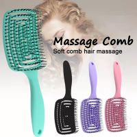 New Girls Hair Scalp Massage Comb Hairbrush Bristle Nylon Women Wet Curly Detangle Hair Brush For Salon Hairdressing Styling Too