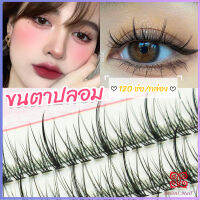 Boloni ขนตาปลอม ขนตาปลอมแต่งหน้ามืออาชีพ 120 ช่อ ช่อคนตาเทรนสาวเวียดนาม  Little devil false eyelashes