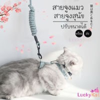 LuckyKat สายจูงแมว สายจูงสุนัข ปรับระดับได้ น่ารัก เชือกนิ่ม ตัวล็อกแน่น