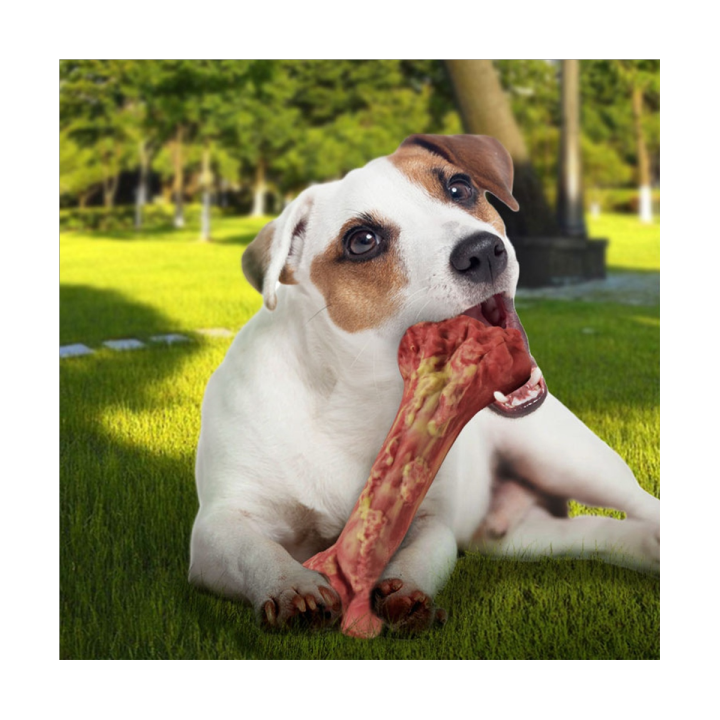 1-piece-pet-supplies-dog-simulation-bone-bite-resistant-dog-molar-stick-dog-decompression-training-toy-nylon-dog-toy-l