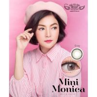 คอนแทคเลนส์ Dreamcolor1 รุ่น Mini Monica