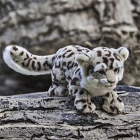 Snow Leopard Plush ของเล่น High Fidelity น่ารัก Snow Panther Plushie เหมือนจริงสัตว์จำลองตุ๊กตาตุ๊กตา Kawai ของเล่นของขวัญเด็ก