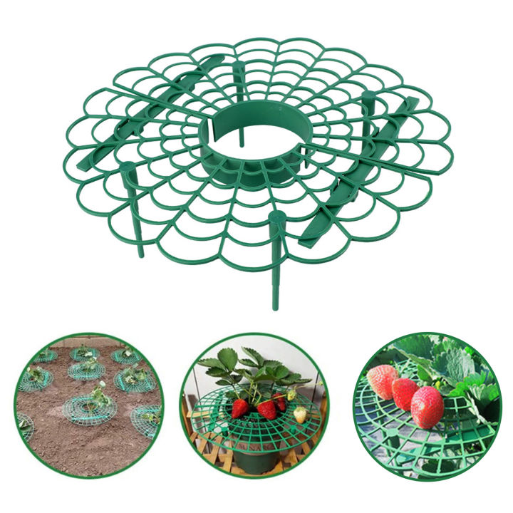 strawberry-supports-3-pack-strawberry-support-stand-3-pack-garden-growing-plant-racks-round-support-stand-for-potted-plants