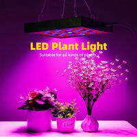 ไฟLED ไฟ Grow Light 50W 169LED 220V ไฟปลุกต้นไม้ ไฟช่วยต้นไม้โตเร็ว แถมสายไฟให้ 1/PCS